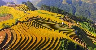 IMMERSION NORD VIETNAM & BAIE CACHÉE - 10 JOURS